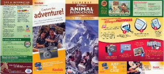 Animal Kingdom Park