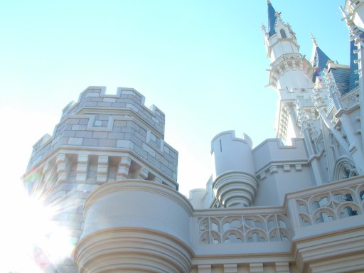 Pretty in the morning sunlight